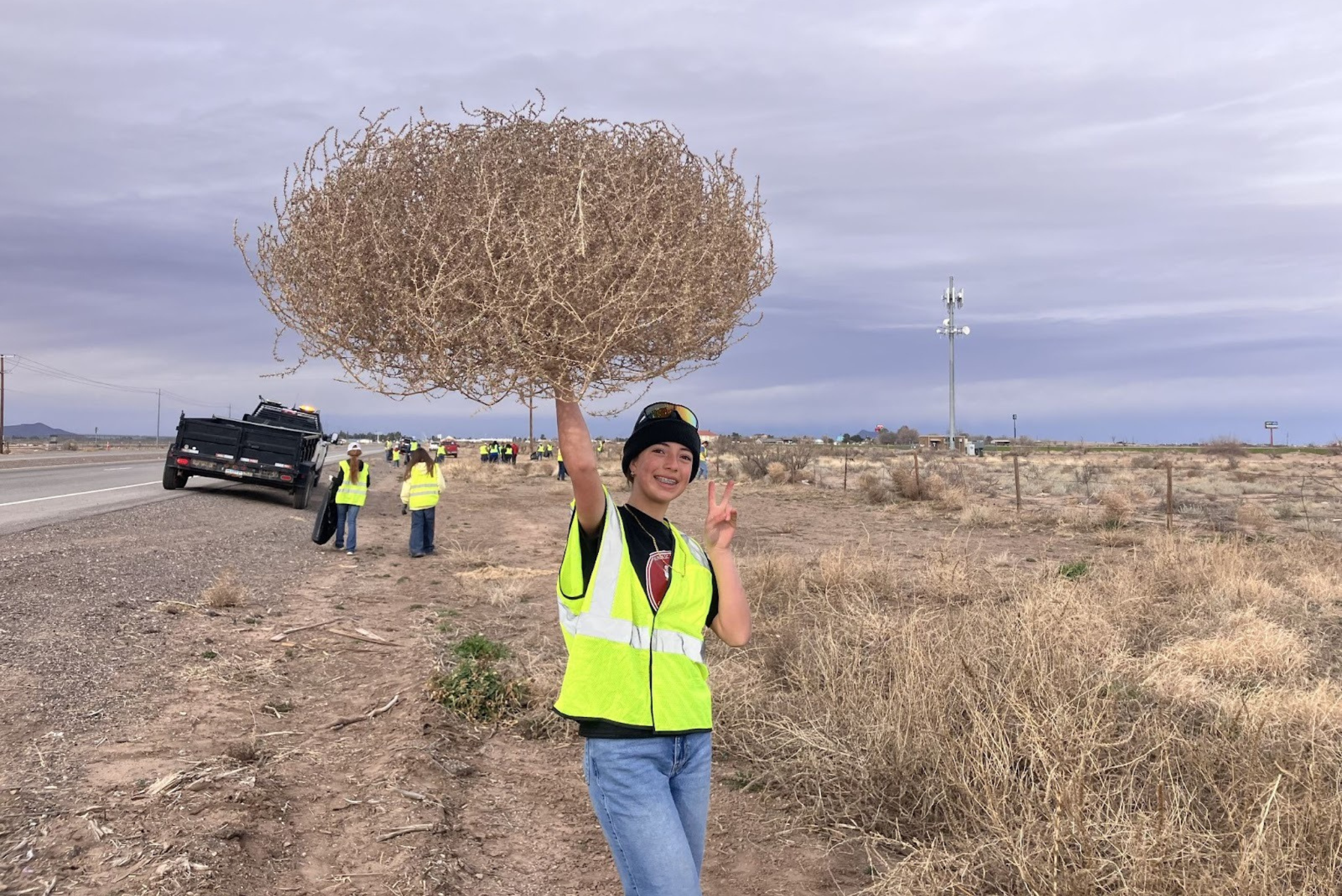 Untitled design (18)