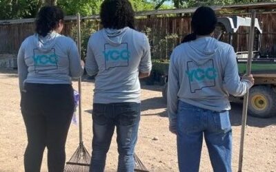 State Seeks Grant Proposals for Youth Job Programs
