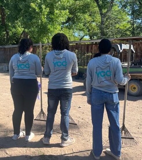 3 Adults with rakes